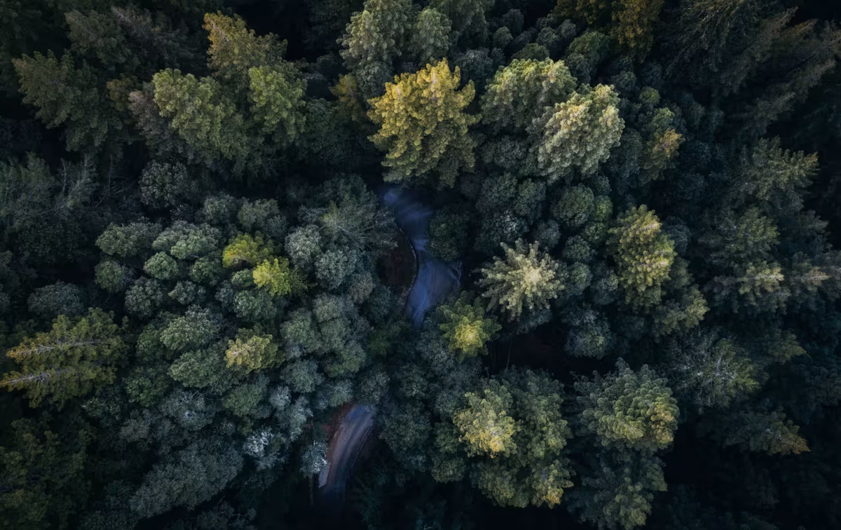 Intrum_Landscapes_001_RF.jpg